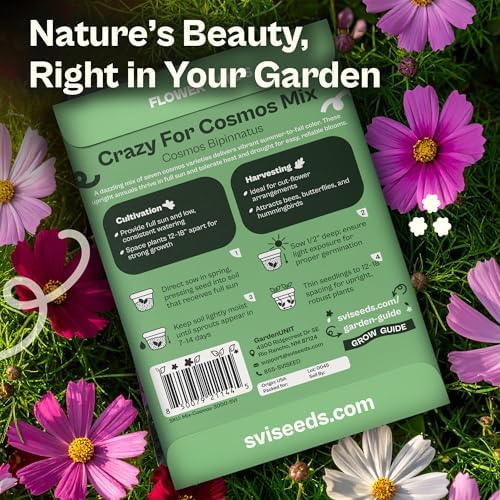 SVI 3000 Mix Crazy for Cosmos Seeds (Cosmos bipinnatus) – Cosmo Mix Wildflower Seed Packets – Easy Grow Annual, Bulk Flower Seeds for Outside Flower Garden, Containers, Flowers Beds - Image 2