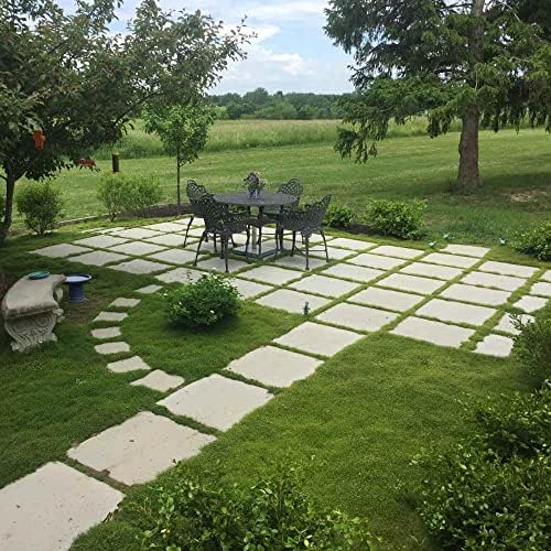 Outsidepride Irish Moss Ground Cover Seeds - 10000 Pcs Perennial Low Growing, Mat-Forming Lawn Alternative, Outdoor Ground Cover Seeds with Shade Tolerance, Ideal for Pathways and Rock Gardens - Image 6