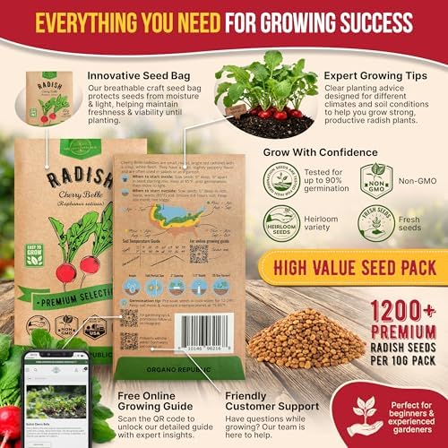Cherry Belle Radish Seeds Pack 10 G - Over 1200 Non-GMO Heirloom Radish Seeds for Planting Vegetables in Individual Seed Packet, Vegetable Seeds for Planting Home Garden Indoor & Outdoor Gardening - Image 3