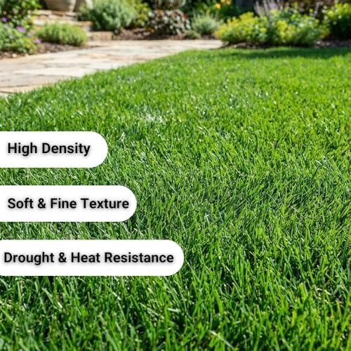 80000 Zoysia Grass Seeds for Lawn, Emerald Zoysia Grass Seed - Image 2