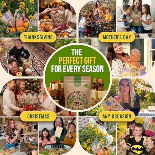 25 Culinary Herbs & Edible Flower Seed Variety Pack for Planting Indoor & Outdoors. 11900+ Non-GMO Heirloom Flower Seeds: Basil, Borage, Echinacea, Lavender, Oregano, Rosemary Seeds & More - Image 6