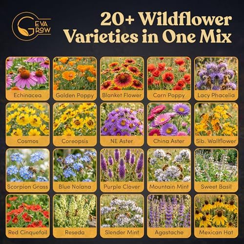 Bulk Wildflower Seed Mix – Honey Bee Wildflower Seed Mix 1 Pound Tub by GevaGrow | Bulk 300,000+ Seed Tub | 19 Variety Flower Seeds for Planting in Pots & Outdoor Gardens | No Messy Bags or Packets | - Image 3