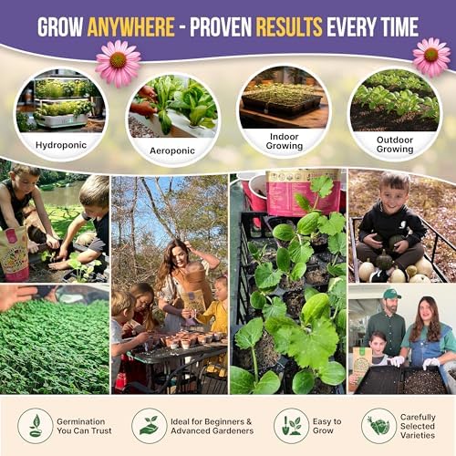 Organo Republic 20 Edible Flower Seeds Variety Pack- Indoor/Outdoor. 7000+ Non-GMO Heirloom: Borage, Bergamot, Nasturtium, Chives, Cape Daisy, Hyssop, Zinnia Seeds & More - Image 4