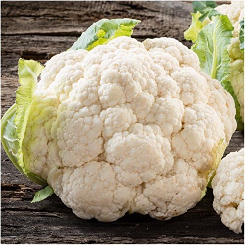 Seed Needs Snowball Y Improved Cauliflower Seeds to Plant Heirloom 1 Pack - Image 2