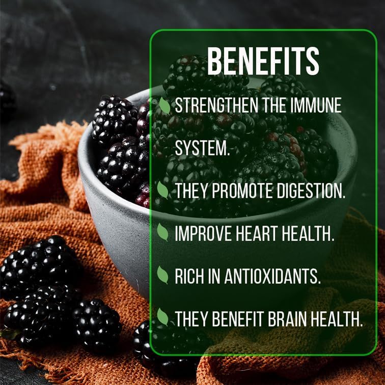 BlackBerry Plant Freedom-Ark (4 Pack) | Live Fruit Plant for Planting | Thornless & High-Yielding Variety | Large, Sweet & Juicy Berries | Perfect for Fresh Eating & Organic Gardens | Easy to Grow - Image 6