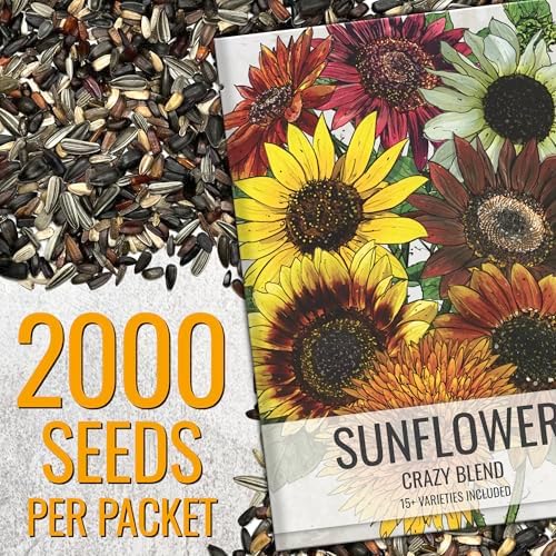 Seed Needs Sunflower Seeds to Plant Original Crazy Blend 2 Ounce Bulk Pack - Image 2