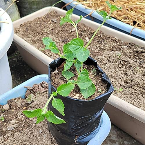 Belit 100 Pcs Plant Nursery Bags, Plastic Seedling Pots Container for Fruit Tree, Flower, Starting saplings, Plant Grow(4.7"x7.3") - Image 2