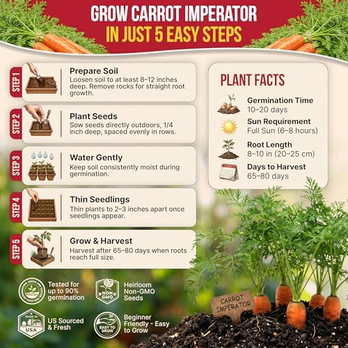 Imperator 58 Carrot Seeds Pack 2G - Over 1800 of Non-GMO Heirloom Carrot Seeds for Planting Vegetables in Individual Seed Packet, Vegetable Seeds for Planting Indoor & Outdoor Garden - Image 6