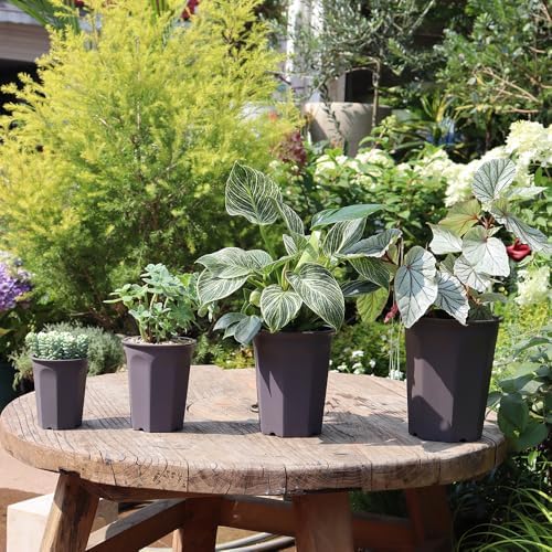 10 Pack 5.30 Inch Plastic Deep Nursery and Seedling Pots, Round Transplant Seed Starter Planter, Gray Color - Image 5
