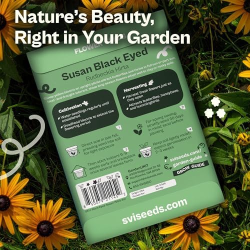 SVI 7500 Black Eyed Susan Seeds (Rudbeckia Hirta) – Black-Eyed Susan Wildflower Seed Packets Bulk, Rudbeckia – Daisy Flower Seeds for Outside & Indoor Flower Garden Containers - Image 2