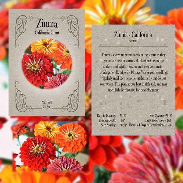 Set of 7 Beginner Gardener’s Seed Collection – Easy-to-Grow Flowers & Vegetables for New Gardeners – Non-GMO, Heirloom, High Germination – Sunflowers, Zinnias, Lettuce, Squash & More - Image 2
