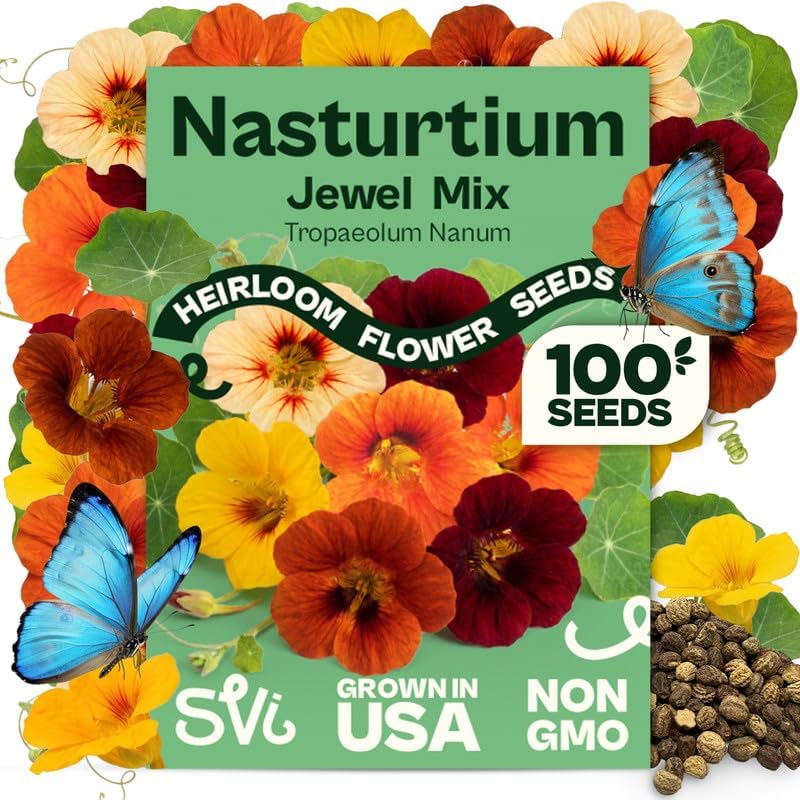 SVI 100 Mix Jewel Nasturtium Seeds (Tropaeolum nanum) – Dwarf Nasturtiums Seed Packets, Wildflower Seed Mix – Cut Flower Seeds Packets for Containers, Butterfly Garden, Flower Beds & Outdoor Garden by SVI