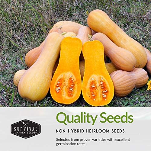 Three Sisters Seeds for Planting - Companion Gardening Collection - Image 3