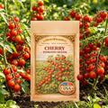 Cherry Tomato Seeds, Heirloom Mini Sweet Tomato Seeds for Planting Fruits by Unknown
