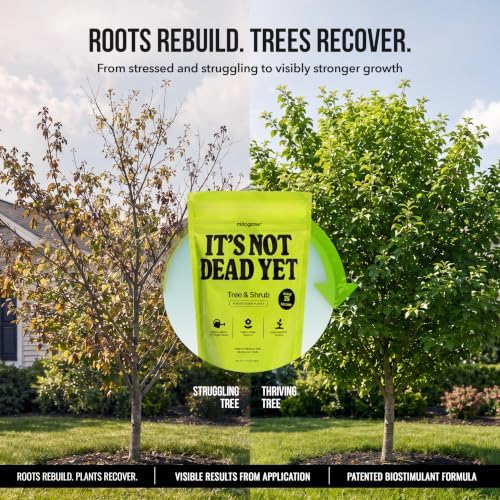 Tree & Shrub - It's Not Dead Yet mitogrow - Image 2