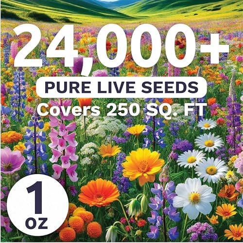 Pacific Northwest Regional Mix - Large 1 Ounce Packet - 24,000 Flower Seeds for Planting - Wildflower Mix - Image 2