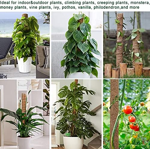 Fabulas Moss Pole 36 Inch - Monstera Plant Support, 2 Pack 20.5 Inch Plant Stakes for Indoor Plants Coco Coir Moss Pole Sticks for Climbing Potted Live Plants, Pothos, Philodendron, with Garden Ties - Image 5