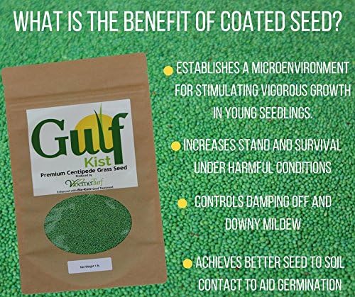 Centipede Grass Seed for a Dense Green Lawn, NO Mulch, 1 lb Coated Seeds, Sun and Moderate Shade Tolerant Lawn Seeding and Turf Patch Repair, Southern Southeast US, Low Fertilizer Low Maintenance - Image 2