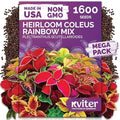1,600 Rainbow Coleus Flower Seeds Mix, Plectranthus Scutellarioides by KVITER
