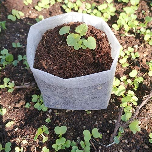 Belit Nursery Growing Bags, 100 Pcs Fabric Seedling Pots Non-Woven Pouch for Gardening Seed Plant Bag, Potato, Flower, Tomato Plant Starts (5.7" x 5.7 ") - Image 2