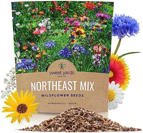 Northeast Wildflower Seeds - Extra Large 1 Ounce Packet - Over 7,500 Native Seeds - Open Pollinated and Non GMO Varieties for New York, Virginia, Pennsylvania, Maine and More! by SweetYards