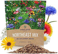 Northeast Wildflower Seeds - Extra Large 1 Ounce Packet - Over 7,500 Native Seeds - Open Pollinated and Non GMO Varieties for New York, Virginia, Pennsylvania, Maine and More! by SweetYards