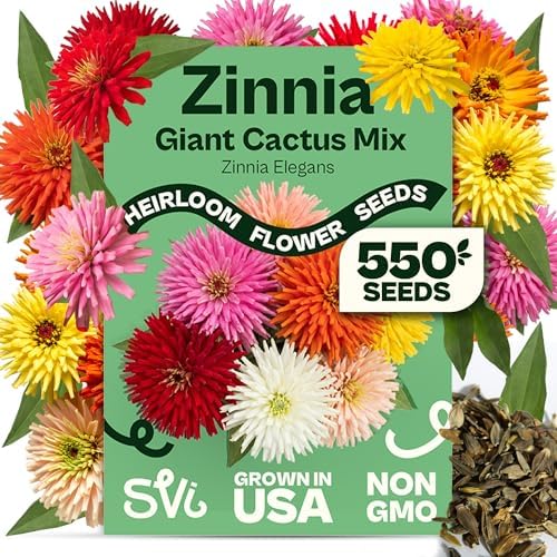 SVI 550 Mix Cactus Zinnia Seeds for 2026 (Zinnia elegans) – Giant Zinnias Super Seed Mix, Giant Flowers Seed Packets Bulk – Cut Flower Seeds to Plant Outside & Indoor Garden Flowers Bed, Containers by SVI