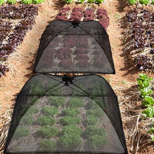 Sawysine 4 Pack Mesh Plant Cover Dome Tent Protector,17 X 17 Inch,Black - Image 5