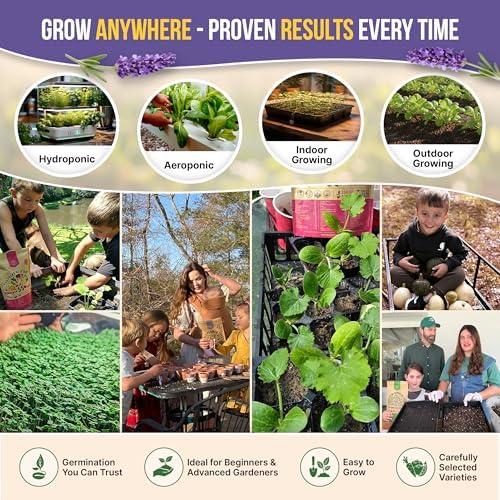 Organo Republic 15 Edible Flower Seeds Variety Pack for Indoor Outdoor Gardening - 4,800+ Non-GMO Heirloom Flower Seed: Borage, Bishop's Flower, Chicory, Chives, Hyssop, Echinacea, Lavender & More - Image 4