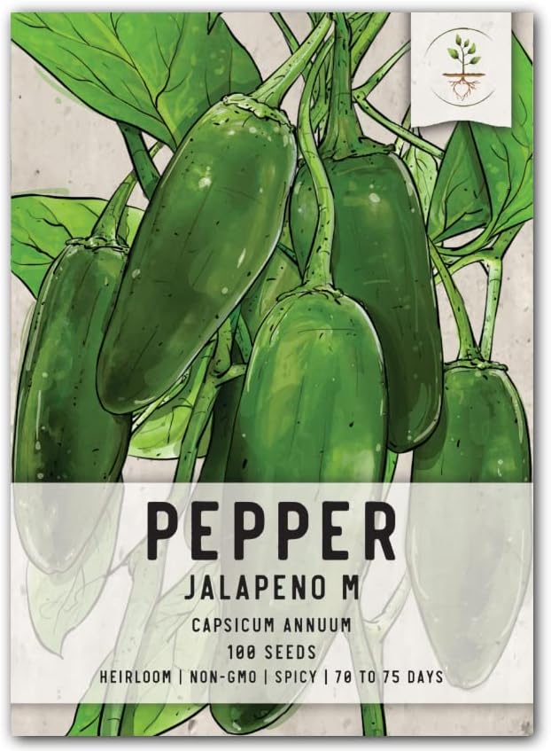 Seed Needs Jalapeño M Hot Pepper Seeds to Plant Vegetables - 1 Pack by SeedNeeds