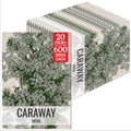 Seed Needs Caraway Seeds to Plant an Herb Garden - 20 Packs by SeedNeeds