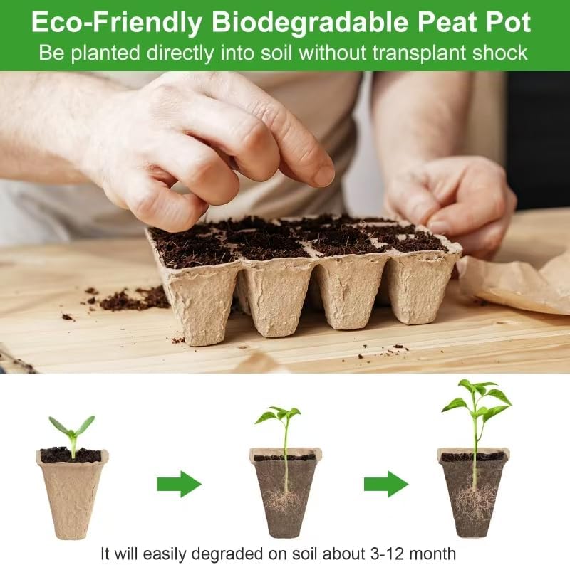 240 Cells Seed Thickened 12-Cell Peat Pots Seed Starter Kit - 20 Trays + Transplanting Tools & Plant Labels, Root-Friendly Seedling Cups for Vegetables Flowers Herbs Seed Starting - Image 4