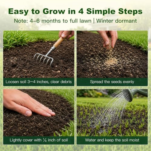 8 oz Emerald Zoysia Grass Seed, Premium Seeds for Lawn, Soft & Dense - Image 3