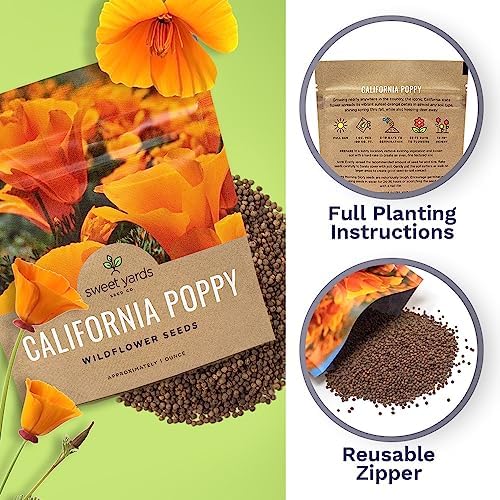 California Orange Poppy Wildflower Seeds - Bulk 1 Ounce Packet - Over 20,000 Native Seeds - California State Flower! - Image 5
