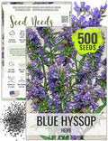 Seed Needs Blue Hyssop Seeds to Plant an Herb Garden - 1 Pack by SeedNeeds