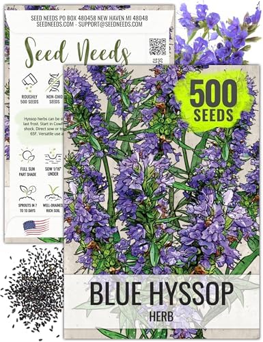 Seed Needs Blue Hyssop Seeds to Plant an Herb Garden - 1 Pack by SeedNeeds