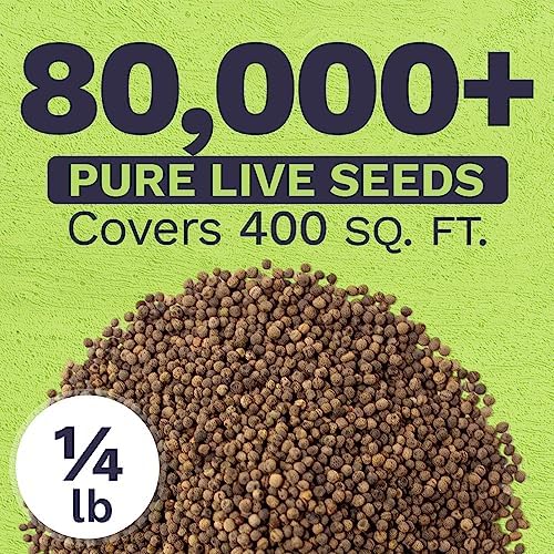 California Orange Poppy Wildflower Seeds - Bulk 1/4 Pound Bag - Over 80,000 Native Seeds - California State Flower! - Image 3