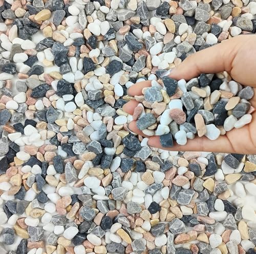 FANTIAN 2 lbs Succulent and Cactus Pebbles Rocks, 3/8 Inch Aquarium Gravel by FANTIAN-GardeningMakesLifeBetter