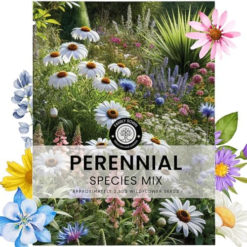 Perennial Species Mix - Large 5g Envelope - 2,500 Flower Seeds for Planting - Wildflower Mix by FamilySown