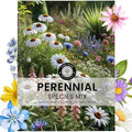 Perennial Species Mix - Large 5g Envelope - 2,500 Flower Seeds for Planting - Wildflower Mix by FamilySown