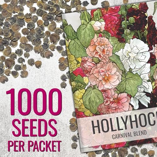 Seed Needs Flower Seeds to Plant Carnival Hollyhock Mix - Bulk Pack - Image 3