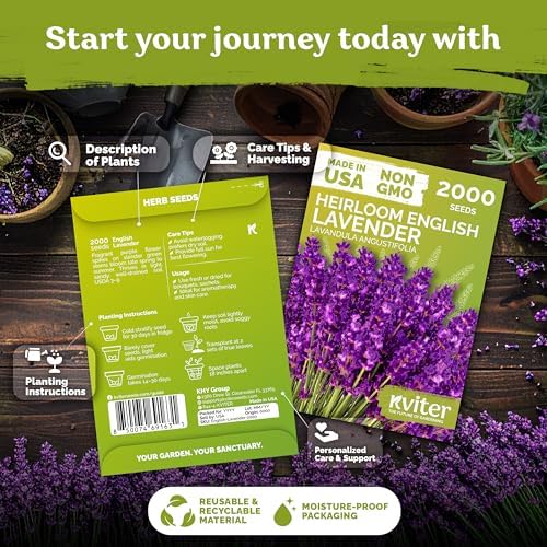 4,000 English Lavender Heirloom Herb Seeds, Lavandula Angustifolia - Image 2