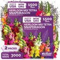 3,000 Tetra Mix Snapdragon Flower Seeds for Planting, Antirrhinum Majus by KVITER