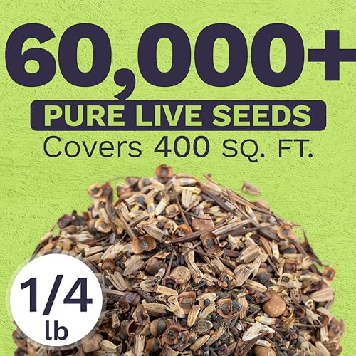 Texas Oklahoma Wildflower Seeds Mixture - Bulk 1/4 Pound Bag - Over 60,000 Native Seeds - Open Pollinated and Non GMO - Image 3