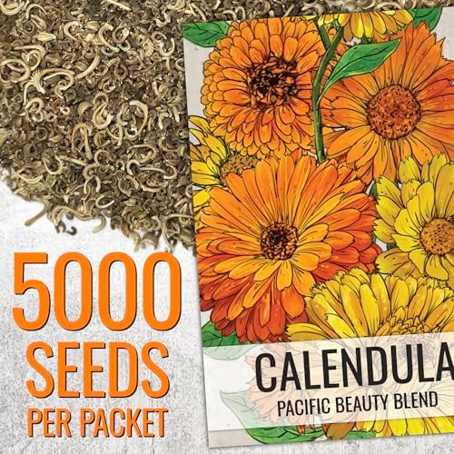 Seed Needs Flower Seeds to Plant Calendula Pacific Beauty Mix - Bulk Pack - Image 3