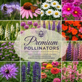 Wildflower Seeds for Pollinators Garden – Premium Pollinators™ – 16-Species Flower Mix for Bees, Butterflies & Hummingbirds – Annuals & Perennials – 1 lb Covers 2,000 Sq Ft – Paper Street Perennials® by PaperStreetPerennials