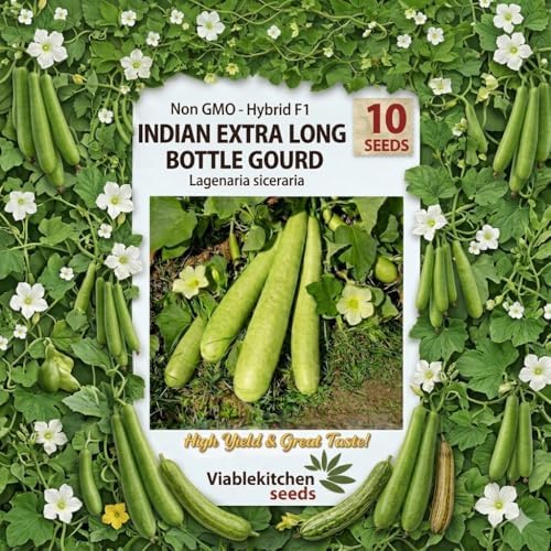 10 Seeds Indian Extra Long Bottle Gourd Hybrid F1 Lauki - Opo - Cucuzzi – Non‑GMO Asian Calabash Melon Squash for Home Garden for Planting Lagenaria siceraria 16"-18" - Image 5