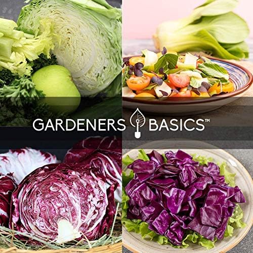 Gardeners Basics, Cabbage Seeds for Planting 5 Individual Packets Bok Choy, Michihili (Napa) Chinese Cabbage, Red, Golden Acre and Copenhagen Market Early for Your Non GMO Heirloom Vegetable Garden - Image 4