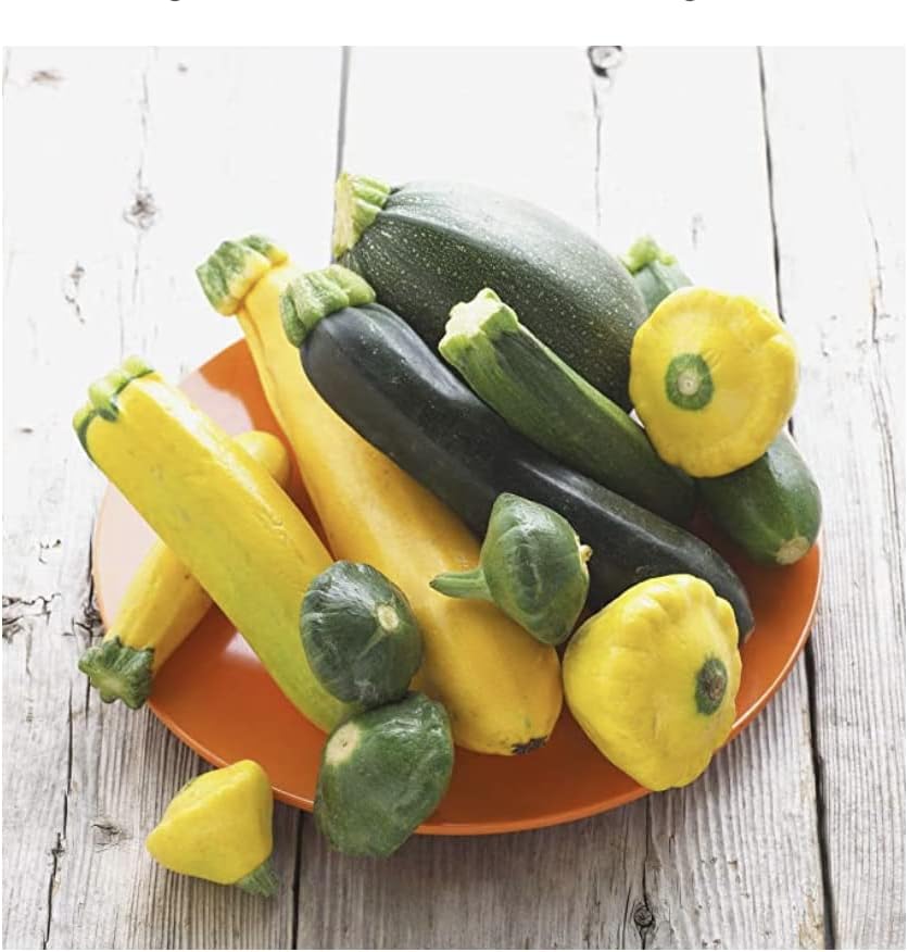 This is a Mix!!! 50+ Zucchini and Squash Mix Seeds 12 Varieties Non-GMO Delicious Grown in USA. Fast Growing, Rare, Super Profilic, - Image 4
