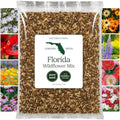 Eden Brothers Florida Wildflower Mixed Seeds for Planting, 5 lb by EdenBrothers
